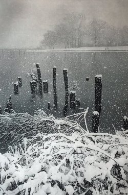 iamjapanese:  Stephen McMillan（American, b.1949）January Snow  2007  etching and aquatint  18 x 12 inches   via