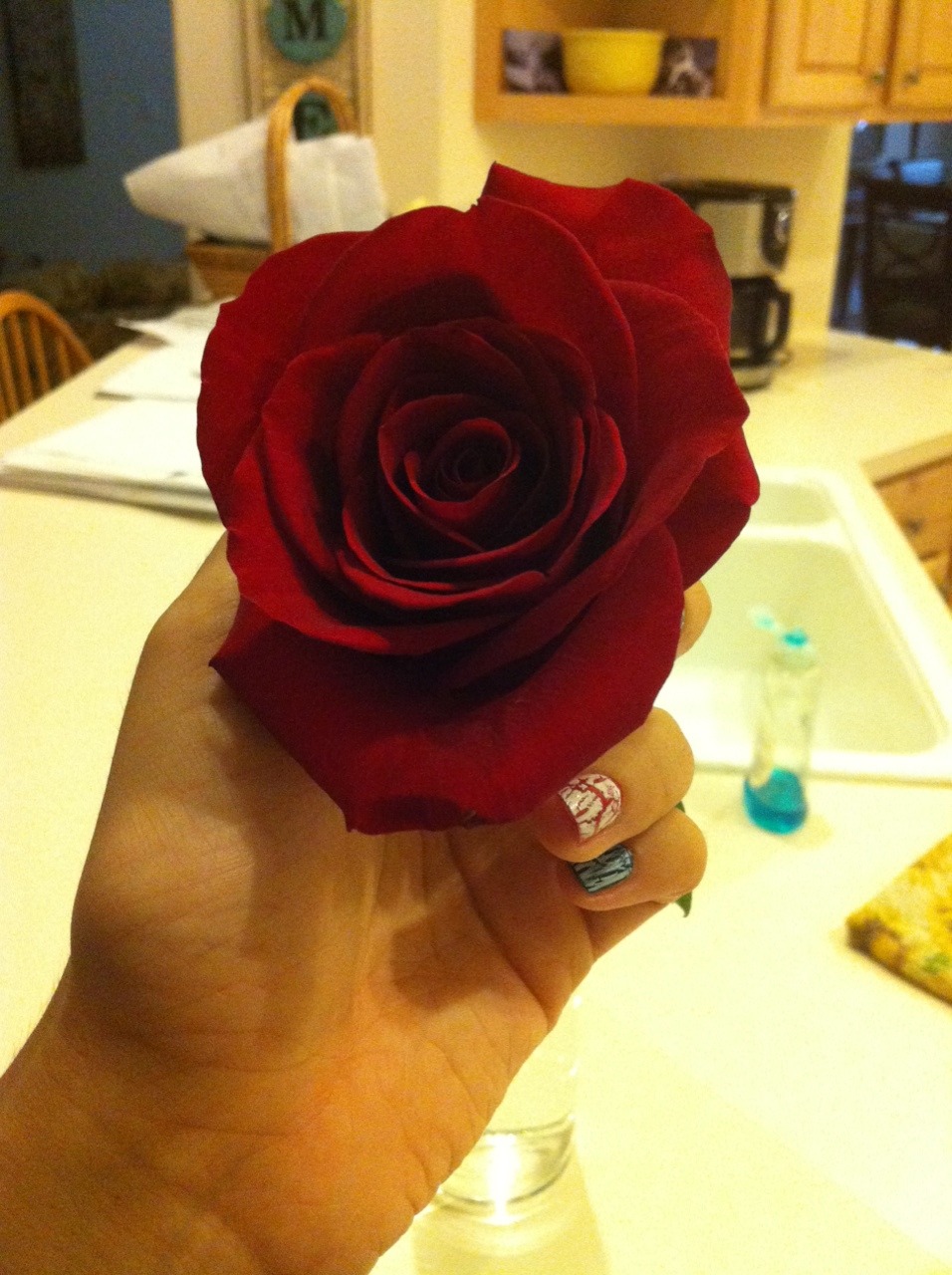 xshelbyjanex:
“Rose from my love
”