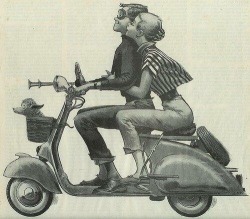 Vespa models 1946-1965