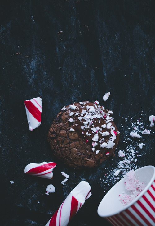 sweetoothgirl: Candy Cane Chocolate Cookies