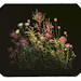 milknhoneyvalley: