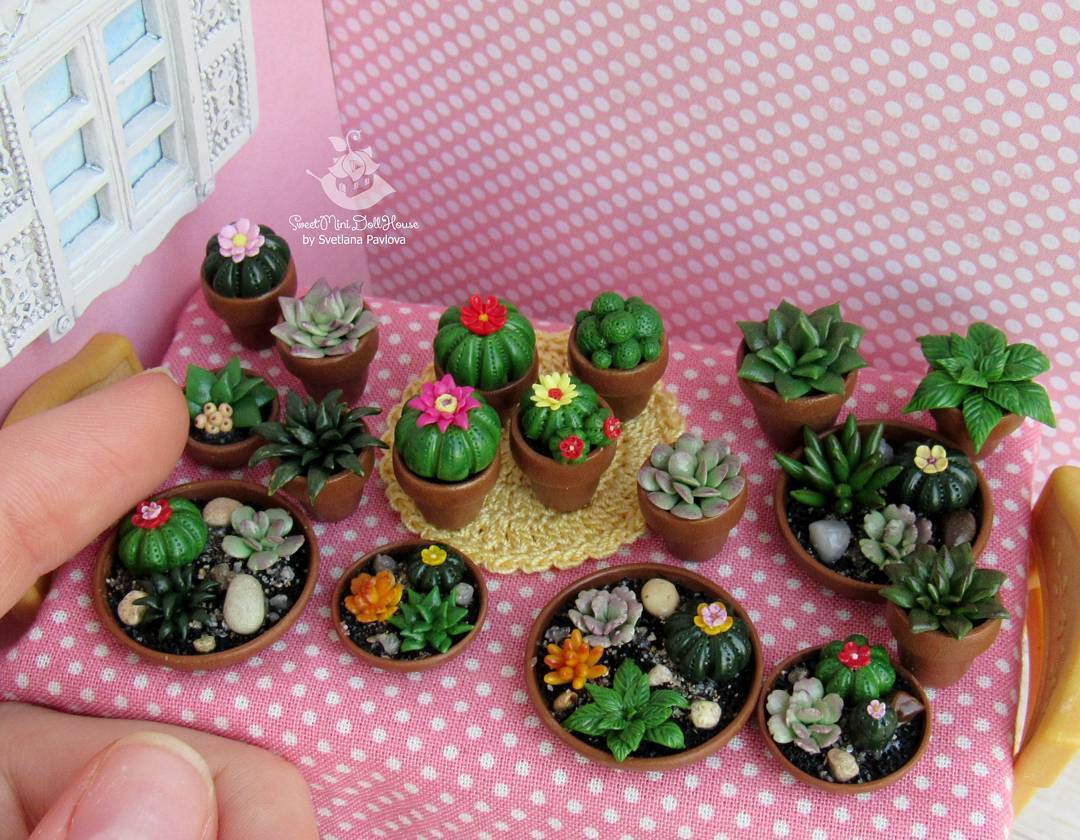 sosuperawesome:  Miniature Food and Succulents by Svetlana Pavlova on EtsySee our