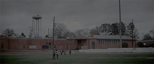 ragnarlodbroked:Stranger Things 2 + scenery