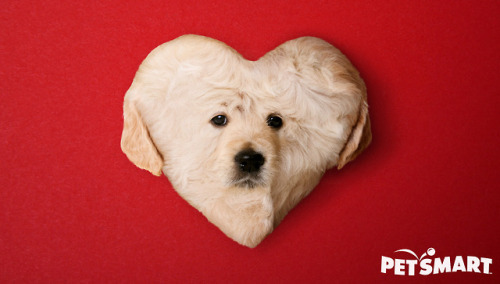 theonion: PetSmart Introduces Heart-Shaped Puppy For Valentine’s DayPHOENIX—Calling it t