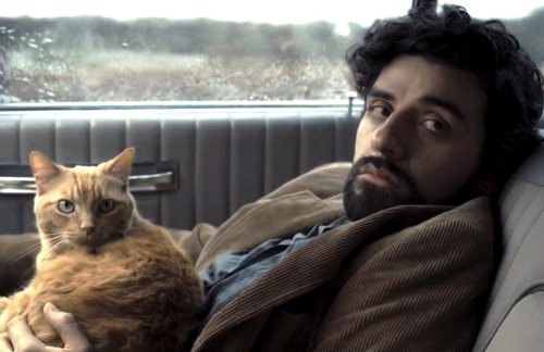 deans-isengard:oscar isaac and cat just in case you were having a bad day