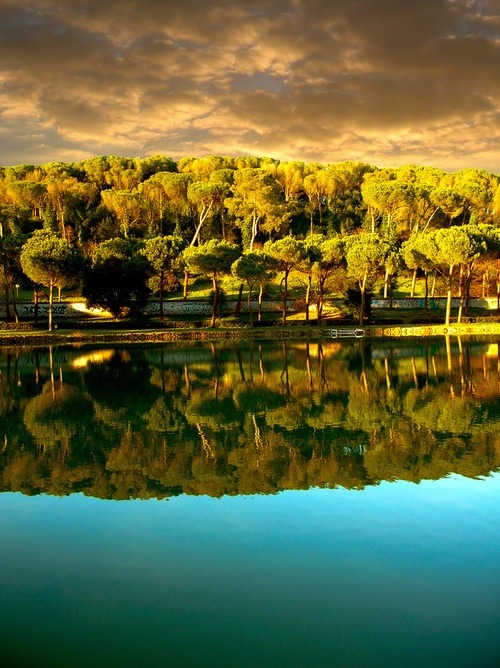 bluepueblo:  Reflection, Villa Ada, Rome, Italy photo via lisa 