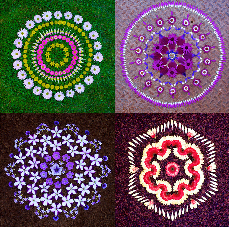 itscolossal:  New Flower Mandalas by Kathy Klein