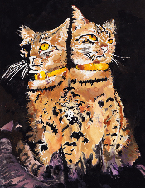zoologyillustration:  Another throwback painting.. this one is of my cat, Duma.