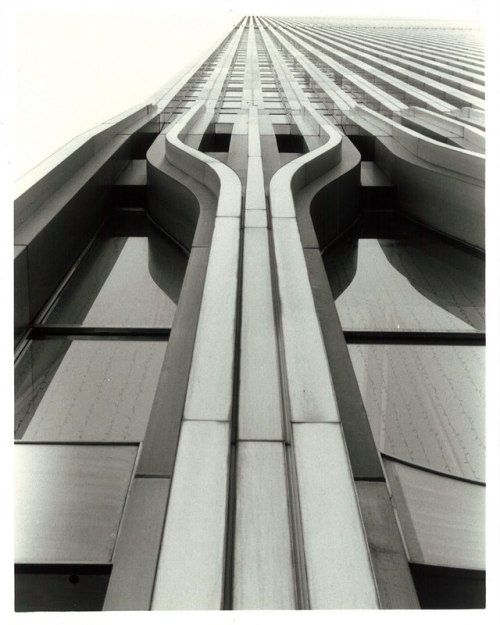 jackspanto: WTC Looking up