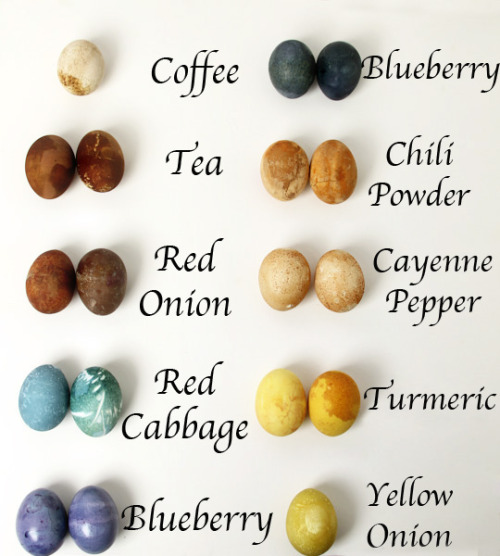 DIY Natural Dyed Easter Eggs✖✖✖✖✖✖✖✖sew-much-to-do: a visual collection of sewing tutorials/patterns