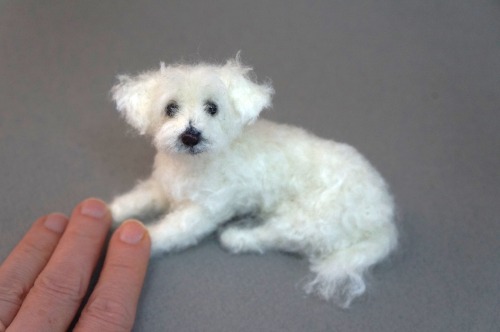 A needle felted Maltipoo I made.  About 4 inches long. 
