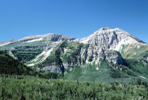 leopardspaw:Utah. Wasatch Mountains. August 9, 1991. Pentax MX. Kodachrome 64.