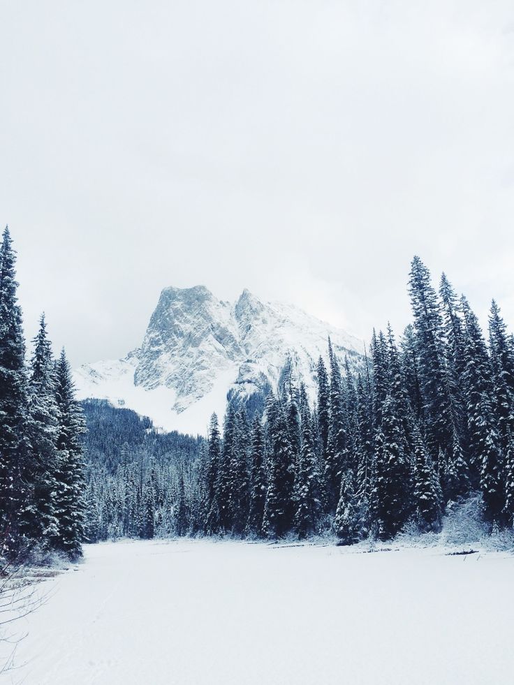 wolverxne:  Untitled | by: { Barnabas Siwila } 