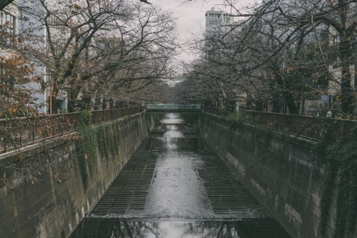 coji0117: 2021.12.05枯れた木々の雰囲気とは裏腹に東京は賑やかですね。 ｜Instagram ｜blog｜ lightroom preset ｜