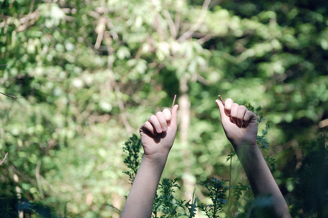 j-adey:  ____________ by Steven Leonti on Flickr.