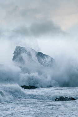 Marine III (Dorset) - By: (David Baker)