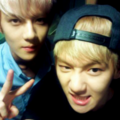 EXO Selcas Icons