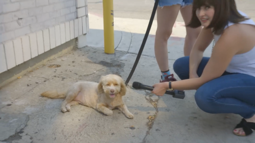 “is it true that you’ve been a good boy?”