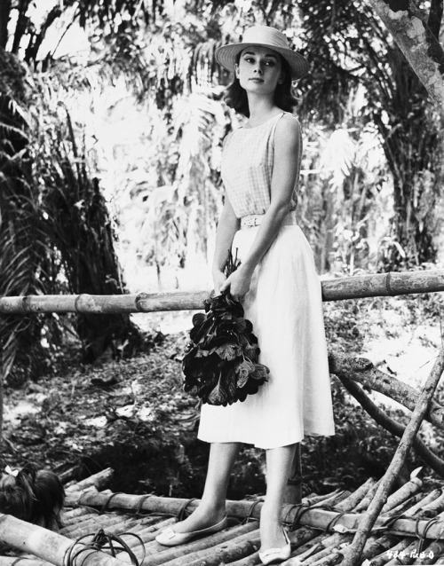 classicfilmgirl:  Audrey Hepburn in Congo, 1958
