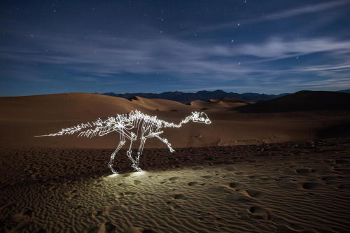 expressions-of-nature:  Light Fossils by: Darren Pearson  