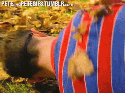 peteandpetegifs:  The battle went on for hours. The ball was the fiercest foe Artie had ever tangled with.