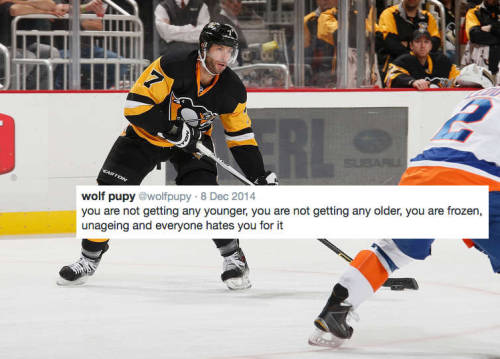 Pittsburgh Penguins + Wolf Pupy