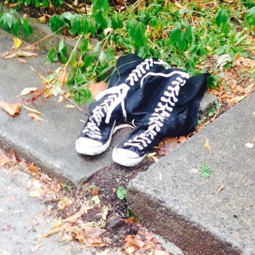 A hood rat got raptured in my neighbourhood! #jesussaves #sharkeisha