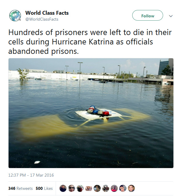 pinkcheesegreenghost:  whyyoustabbedme:  Think of the minor crimes and false accusations.