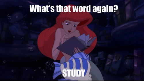 disneyismyescape: dailylifeofadisneyfreak: I really wasn’t feeling down to study today so I 