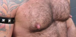 Nipple pigs - A blog focused on gay nippleplay