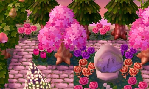 wilawood:  come visit wilawood: 7C00-000F-732A