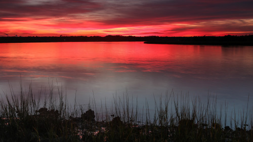 travelingcolors:Amelia Island sunsets | Florida (by Jeremy Duguid)