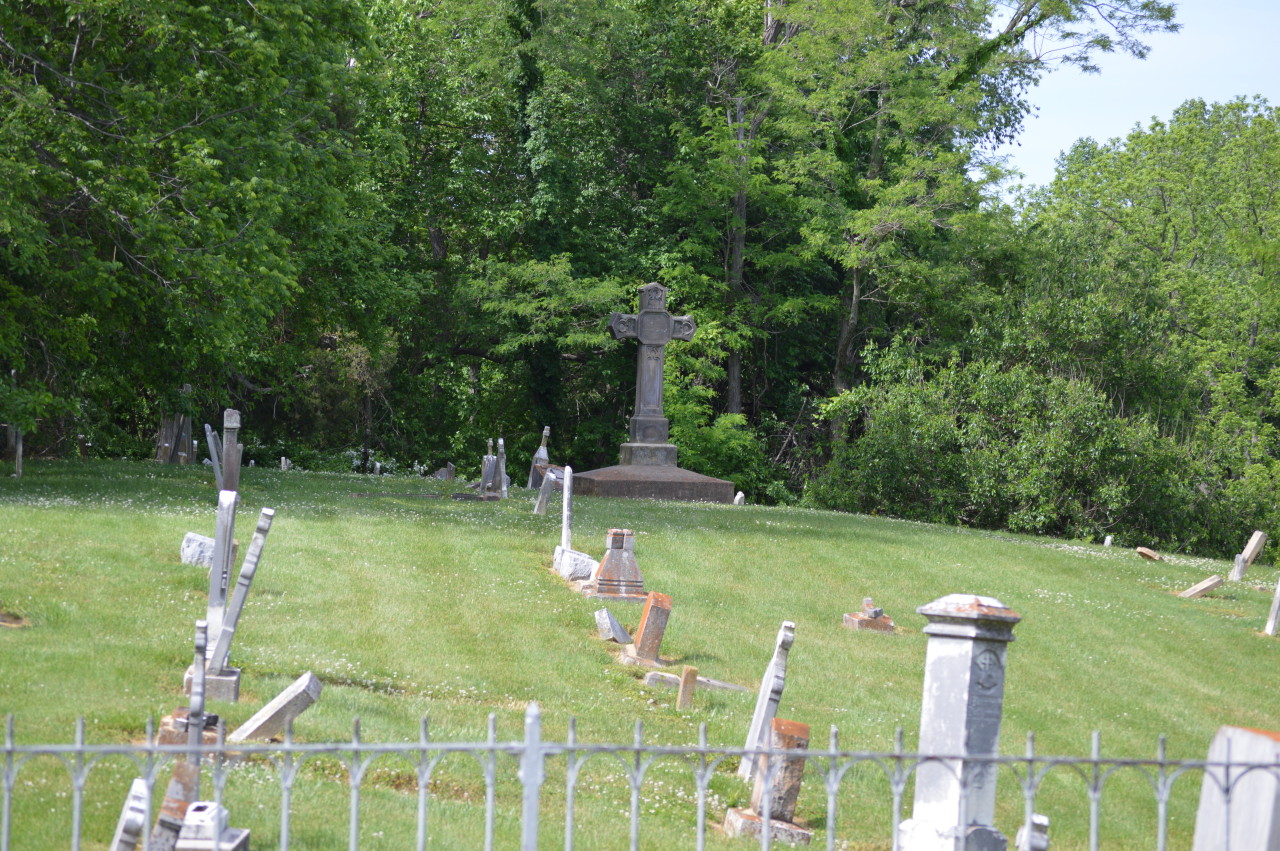 daydreaminggenius:  My dad’s house is situated by St. Pius Cemetery, an old Catholic