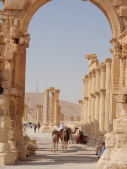 nereydes:  Palmyra, Syria