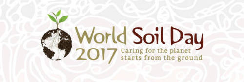plantyhamchuk:It’s December 5th!!! “This year’s World Soil Day focuses on the