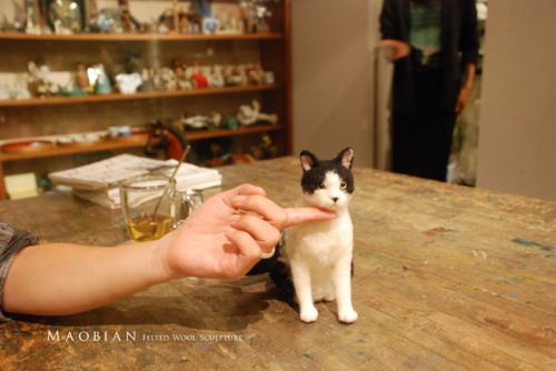 Last December I took my needle felted cat to travel to Tokyo.(part. 2)Before Natsume Soseki’s(夏目漱石) 