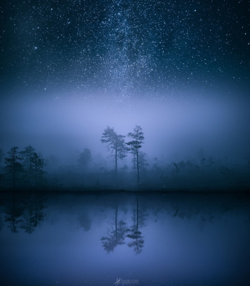 te5seract: Burn & Swamp Reflection by  Lauri Lohi  