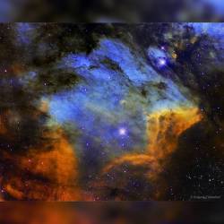 The Pelican Nebula in Gas, Dust, and Stars