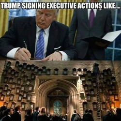 obama-biden-memes:  ace-pervert:  theversatilist: peikaixi:  obama-biden-memes:  someone pls do an edit of umbridge and trump  For more like our fb page Tumblr United  Trumbridge, at your command  Oh my god  yep  Oh My God… Im cryingggg 😂😂