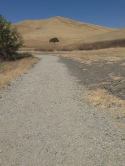 Great-Vibrations:  Went On A Hike Here Is A Spam Of Pics From It  Conta Loma, In