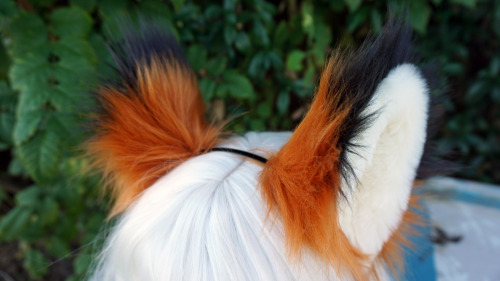 Cat/Fox Headband Ears Tried a new ear pattern, love how these turned out! :DSee something you like o