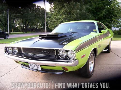 American Muscle Cars 
