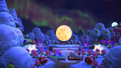 ☆Enjoying the Northern Lights!☆