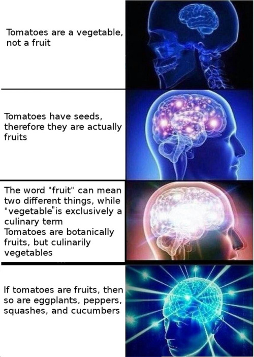 paradoxcase:I would like to contribute this to the “tomatoes are a fruit” discourse