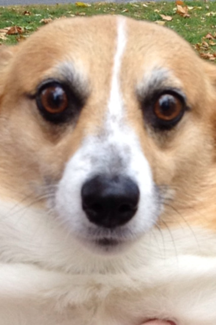 kim-jong-chill:  chloe hates swinging 