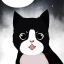 kikimeowmeow2848
