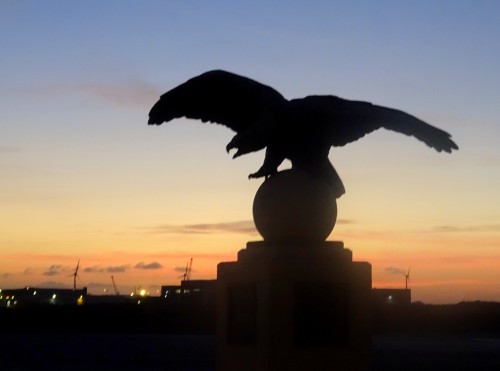 Une série sur les aigles, buses et autres grands rapaces diurnes&hellip; Ici, des aigles aux allures