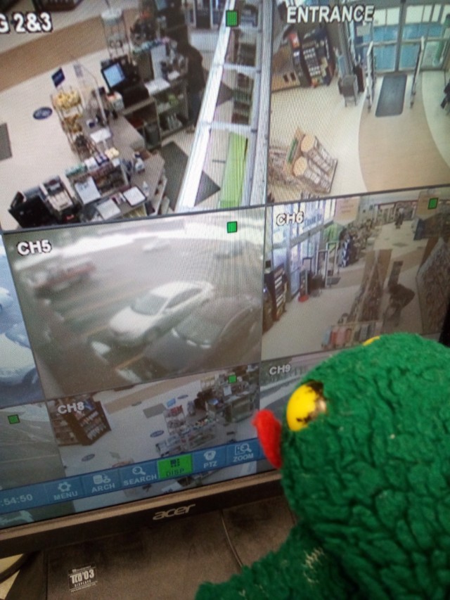 Froggy monitors the store for criminals