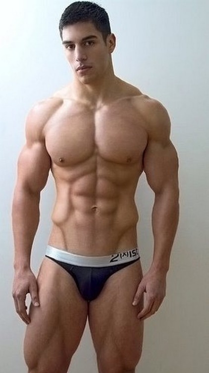 Dedicated Follower of Bulges