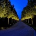 mvsh1: